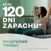 Elektryczny odświeżacz i wkład Air Wick Essential Oils o zapachu kwitnący jaśmin i frezja 19 ml