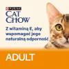 Karma dla kota Purina Cat Chow Adult z jagnięciną i zieloną fasolką w galaretce 85 g (26 sztuk)