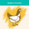 Karma dla kota Purina Cat Chow Hairball Control bogata w Kurczaka 16,5 kg