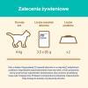 Karma dla kota Purina Cat Chow Hairball Control Mokra z kurczakiem i zieloną fasolką w sosie 85 g (24 sztuki)
