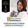 Karma dla kota z kurczakiem Purina Pro Plan Veterinary Diets NF AC Renal Function 85 g (10 sztuk)