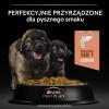 Karma dla psa Purian Pro Plan Sensitive Skin Puppy bogata w łososia 12 kg