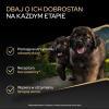 Karma dla psa Purian Pro Plan Sensitive Skin Puppy bogata w łososia 12 kg