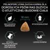 Karma dla psa Purina Pro Plan Sensitive Digestion Large Athletic Adult bogata w jagnięcinę 14 kg