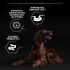 Karma dla psa Purina Pro Plan Sensitive Digestion Large Athletic Adult bogata w jagnięcinę 14 kg