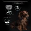 Karma dla psa Purina Pro Plan Sensitive Digestion Small & Mini Adult bogata w indyka 7 kg
