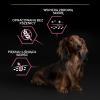 Karma dla psa Purina Pro Plan Sensitive Skin Small & Mini Adult bogata w łososia 7 kg
