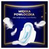 Podpaski higieniczne ze skrzydełkami Always Maxi Secure Night rozmiar 4 (8 sztuk)