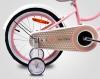 Rowerek dla dzieci 14" Heart bike różowy Sun Baby J03.017.1.3