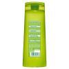 Szampon przeciwłupieżowy Garnier Fructis 2w1 Green Tea 400 ml